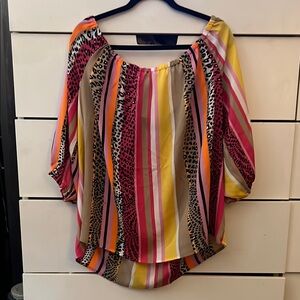 Multicolor Striped Women's Top